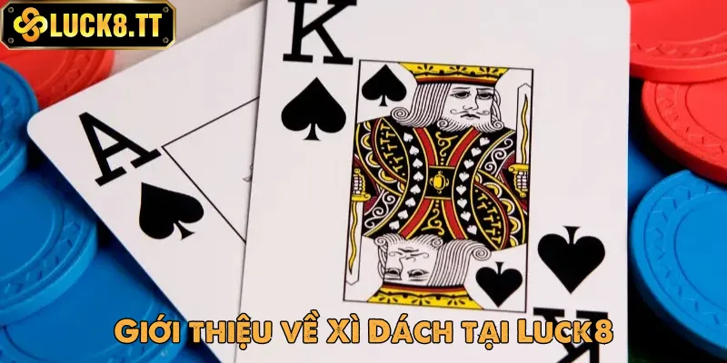 Giới thiệu chơi Xì Dách tại sảnh cược Luck8 chúng tôi